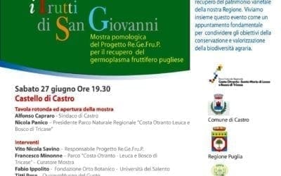 I frutti di San Giovanni: Inno alla Biodiversità Agraria