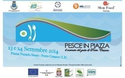 Porto Cesareo: Tavola rotonda per la manifestazione “Pesce in Piazza”