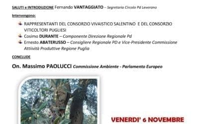 Xylella: A Leverano un incontro operativo per parlare del problema