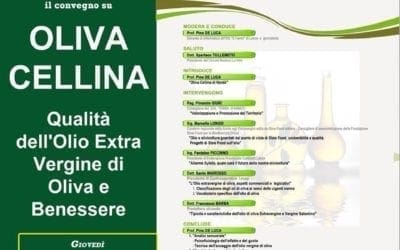 “Oliva Cellina” convegno su legame Olio Extra Vergine e Benessere