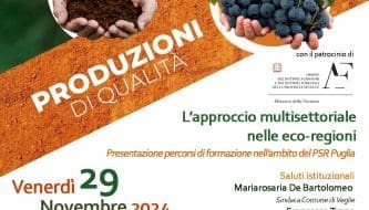 Locandina 29.11