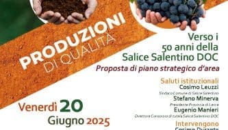 Salice Salentino DOC: Mezzo Secolo di Gusto e Territorio