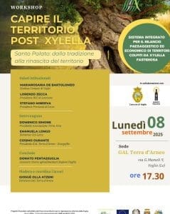 Quale futuro oltre la Xylella? Se ne parlerà oggi con il GAL TErra d’Arneo a Veglie