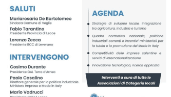 PMI Industria E Made In Italy