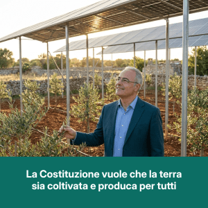 La Costituzione vuole che la terra sia coltivata e produca per tutti: ma nel Salento devastato dalla Xylella, cosa resta di quella promessa?