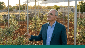 La Costituzione vuole che la terra sia coltivata e produca per tutti: ma nel Salento devastato dalla Xylella, cosa resta di quella promessa?